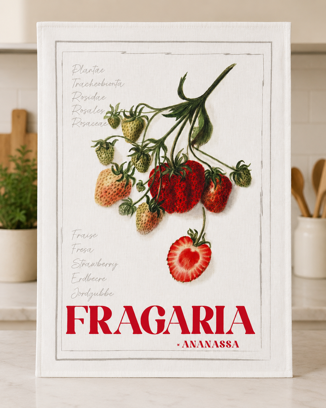 Paños de Cocina 100% Algodón Tejido Sarga | Recetas, Bebidas, Ciudades y Paisajes - Imagen 2